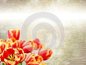 Red and yellow tulips on bright rustic wooden style background