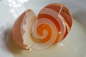 Red yolk of broken egg in white bowl in the kitchen