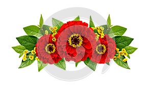 Red zinnia flowers in a line floral arrangement isolated on white