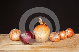 Red and zittauer onions.