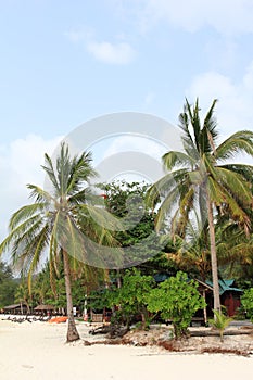 Redang island scenery