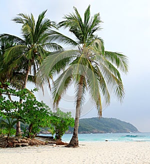 Redang island scenery