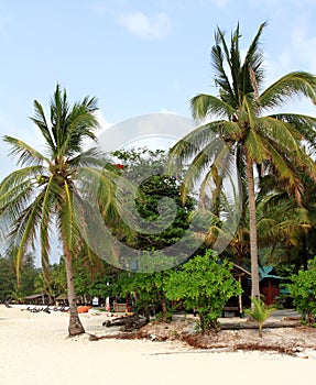 Redang island scenery