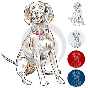Redbone Coonhound