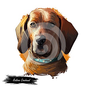 Redbone Coonhound dog portrait isolated on white. Digital art illustration of hand drawn dog for web, t-shirt print and puppy food