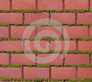 Redbrick pavement