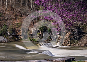 Redbud blossoms by Valley Falls on a bright spring morning