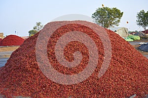 Redchili Mandi Market