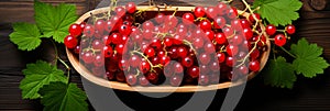 Redcurrant banner. Bowl full of redcurrant. Close-up food photography background