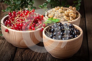 Redcurrant, blackcurrant, white currant fruit.