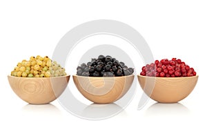 Redcurrant Blackcurrant and Whitecurrant Fruit