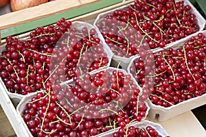 Redcurrant Fruit on Market
