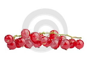 Redcurrant isolated photo