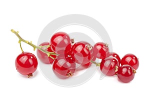 Redcurrant isolated photo