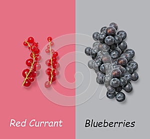 Redcurrant vs blueberries on grey and red background