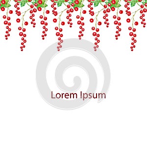 Redcurrant watercolor horizontal seamless pattern on white background Lorem ipsum stoock wector illustration