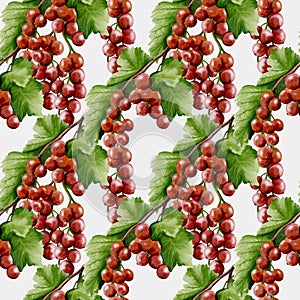 Redcurrant watercolor pattern for textile and fabric design projects