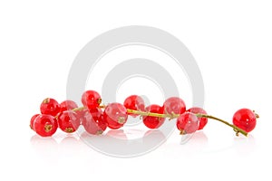 Redcurrants