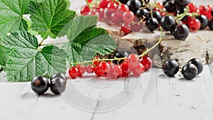 Redcurrants and blackcurrants on white wooden background