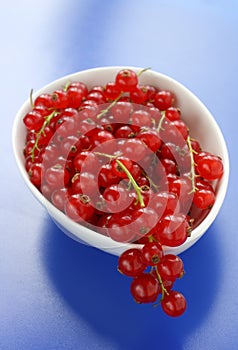 Redcurrants in a Bowl photo