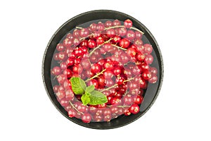 Redcurrants in bowl on a white background