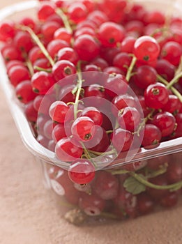 Redcurrants In Packaging