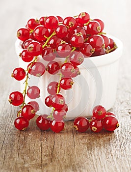 Redcurrants in white bowl