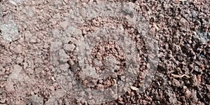 Close-up of Dry, Clumpy Reddish-Brown Soil Texture