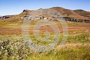 Reddish grass at Oribi Loop landscape of Golden Gate Highlands National Park, Free State, South Africa