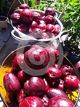 reddish purple fruit jambo in in bowl photo