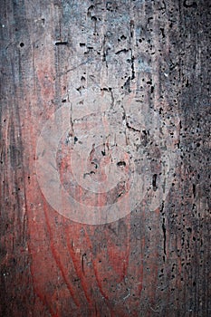 Reddish wood plank - texture with wormholes