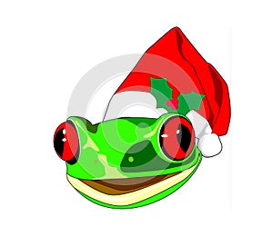 Redeyed frog wearing santa hat