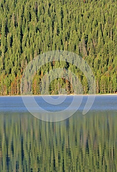 Redfish Lake and Pine Trees at Sunrise, Idaho