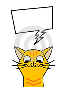 Redhead cat meme with speech bubble. Chat box photo