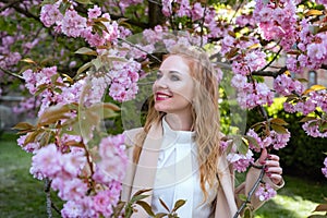 Redhead girl in white shirt stands near sakura in sunny spring weather. Portrait of attractive woman with wavy hair in blooming