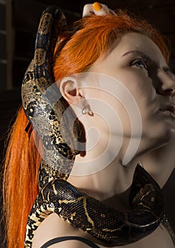 Redhead woman holding snake. close-up photo girl with pygmy python on a white background