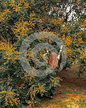 Redhead with a yellow tree