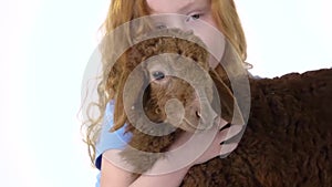 Redheaded little girl with curly hair is stroking brown lamb at white background. Slow motion. Close up