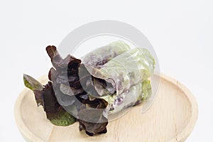 RedOak- hydroponics vegetable isolate on white background