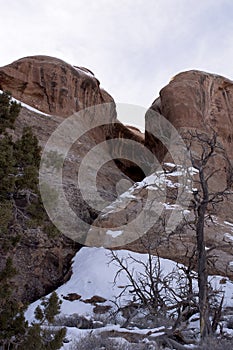Redrock Formation with Snow and Pine Trees Moab Utah photo