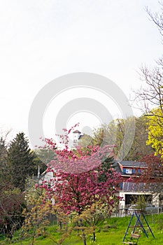 A redroofed house surrounded by trees and flowers in a natural landscape