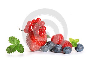 Reds fruits and berries isolated on white background