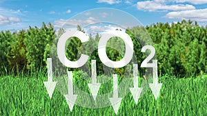 Reduce CO2 emission concept. Renewable energy-based green businesses can limit climate change and global warming. Green grass with