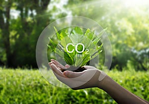 Reduce CO2 emission concept, Sustainable development and green based on renewable can limit climate change and global warming,