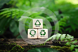 Reduce, reuse and recycle symbols on wood blocks as environmental conservation concept, Ecology, zero waste, sustainability,