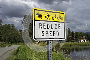 Reduce Speed Sign