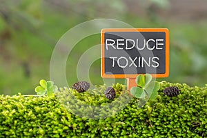 Reduce toxins text on small blackboard