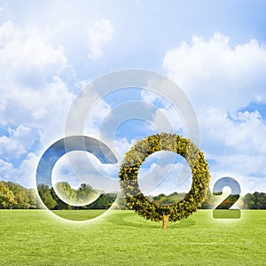 Reduction of the amount of CO2 emissions - concept with CO2 icon text and tree shape in rural scene with  green mowed lawn with photo