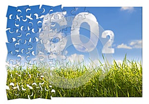 Reduction of CO2 presence in the atmosphere - jigsaw puzzle concept image against a green wild grass on sky background