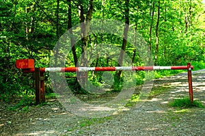 Red-white barrier in the forest of Germany photo